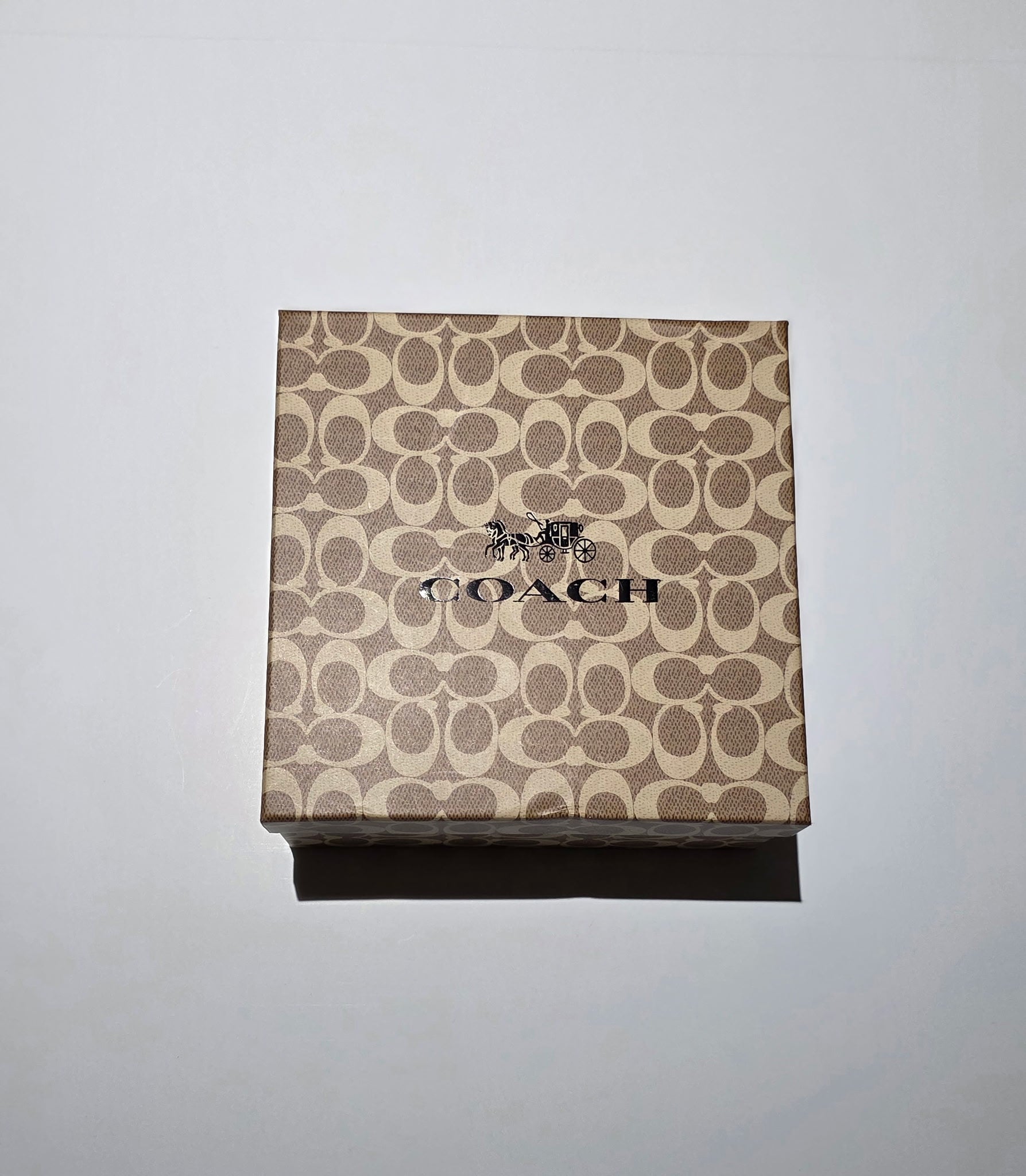 Coach Pillow Tabby 26